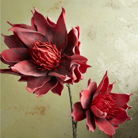 Sundance Serrula Bountiful Botanicals Extra Large Floral Stem - Picture 1 of 11